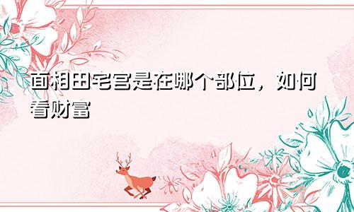 面相田宅宫是在哪个部位,如何看财富