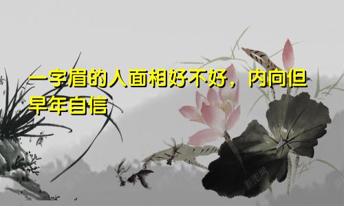 一字眉的人面相好不好,内向但早年自信
