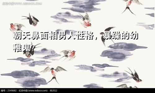 朝天鼻面相男人性格，暴躁的幼稚鬼？