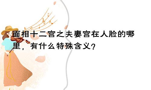 面相十二宫之夫妻宫在人脸的哪里,有什么特殊含义?