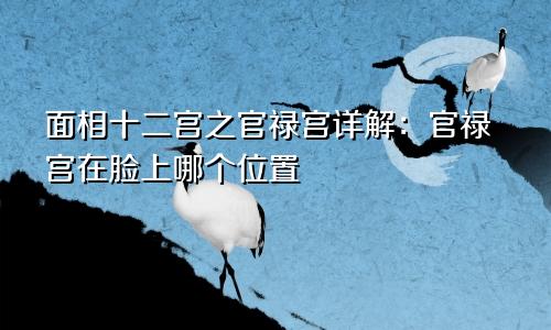 面相十二宫之官禄宫详解:官禄宫在脸上哪个位置