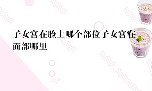子女宫在脸上哪个部位子女宫在面部哪里