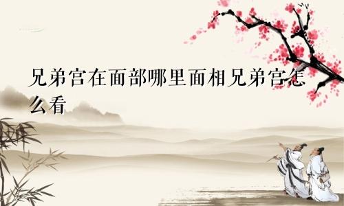 兄弟宫在面部哪里面相兄弟宫怎么看