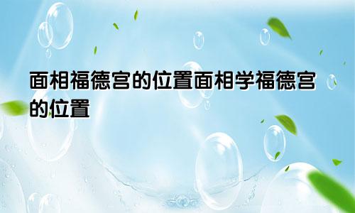 面相福德宫的位置面相学福德宫的位置