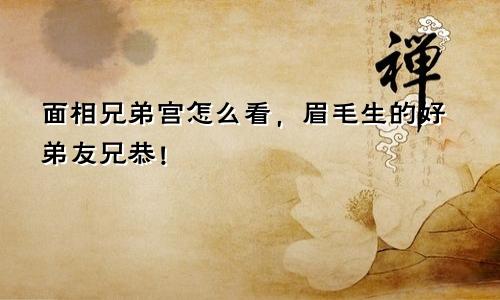 面相兄弟宫怎么看，眉毛生的好弟友兄恭！