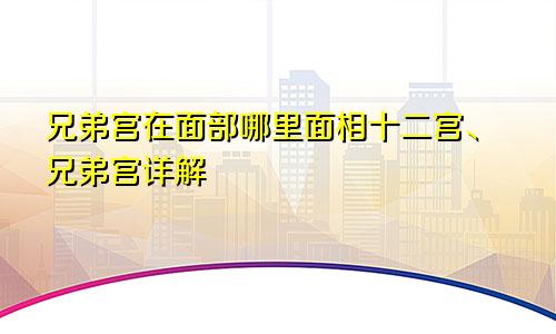 兄弟宫在面部哪里面相十二宫、兄弟宫详解