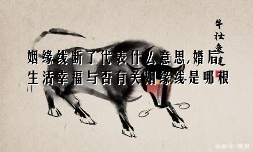 姻缘线断了代表什么意思,婚后生活幸福与否有关姻缘线是哪根