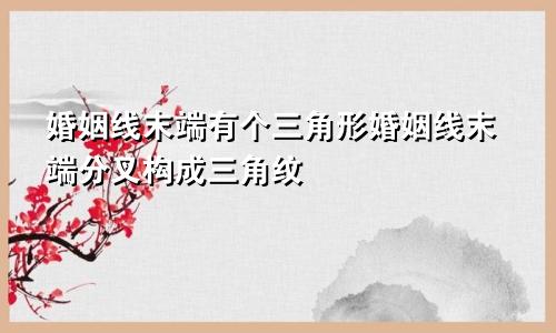 婚姻线末端有个三角形婚姻线末端分叉构成三角纹