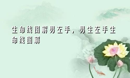 生命线图解男左手，男生左手生命线图解