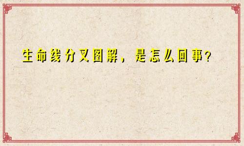 生命线分叉图解，是怎么回事？
