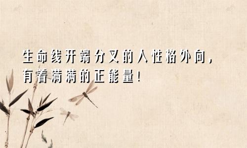 生命线开端分叉的人性格外向，有着满满的正能量！