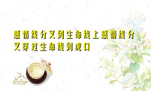 感情线分叉到生命线上感情线分叉穿过生命线到虎口