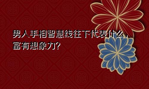 男人手相智慧线往下代表什么,富有想象力?