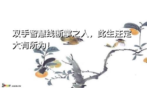 双手智慧线断掌之人,此生注定大有所为!