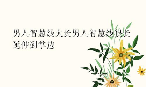 男人智慧线太长男人智慧线很长延伸到掌边