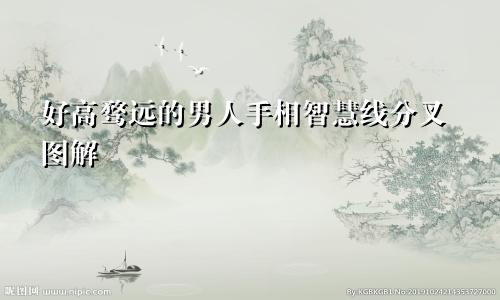好高骛远的男人手相智慧线分叉图解