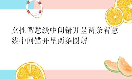 女性智慧线中间错开呈两条智慧线中间错开呈两条图解