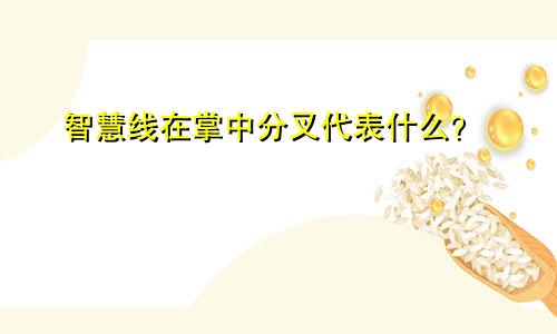智慧线在掌中分叉代表什么?