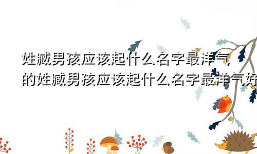 姓臧男孩应该起什么名字最洋气的姓臧男孩应该起什么名字最洋气好听