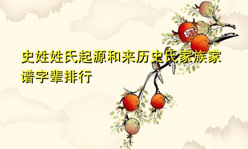 史姓姓氏起源和来历史氏家族家谱字辈排行