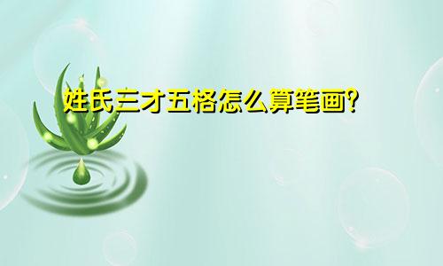 姓氏三才五格怎么算笔画?