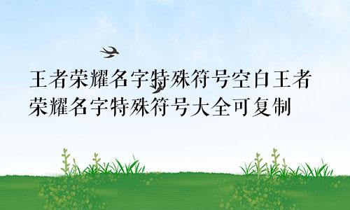 王者荣耀名字特殊符号空白王者荣耀名字特殊符号大全可复制