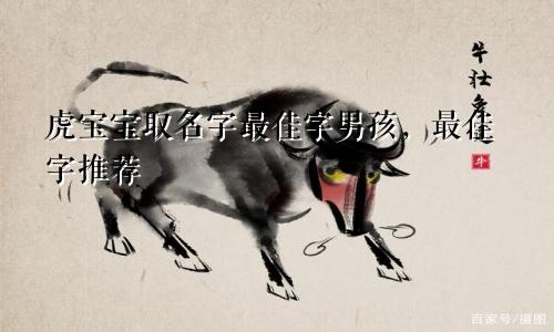 虎宝宝取名字最佳字男孩，最佳字推荐