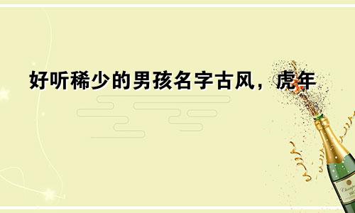 好听稀少的男孩名字古风,虎年