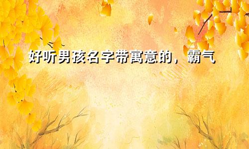 好听男孩名字带寓意的，霸气