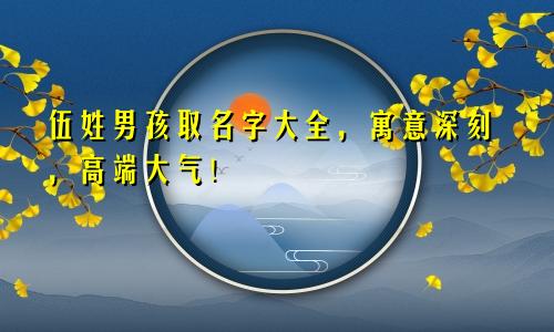 伍姓男孩取名字大全,寓意深刻,高端大气!