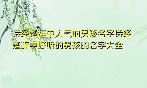 诗经楚辞中大气的男孩名字诗经楚辞中好听的男孩的名字大全