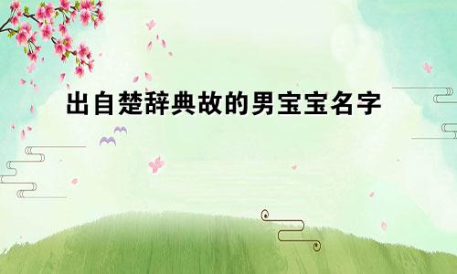 出自楚辞典故的男宝宝名字