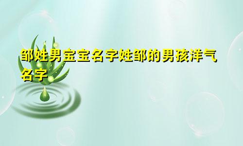 邹姓男宝宝名字姓邹的男孩洋气名字