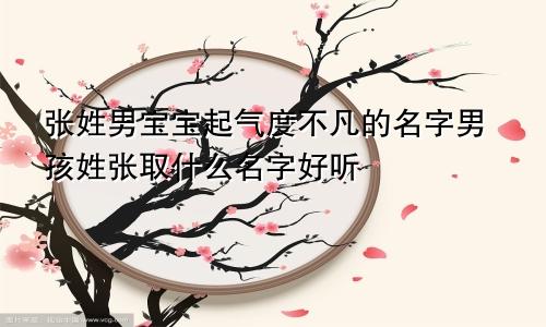 张姓男宝宝起气度不凡的名字男孩姓张取什么名字好听