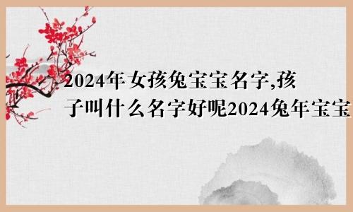 2024年女孩兔宝宝名字,孩子叫什么名字好呢2024兔年宝宝取名最佳用字