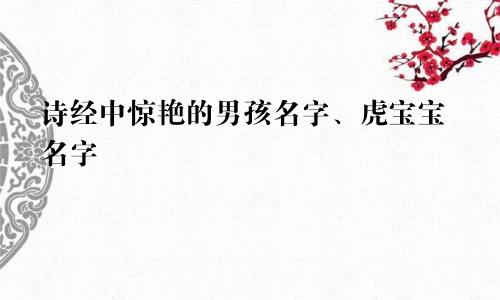 诗经中惊艳的男孩名字、虎宝宝名字