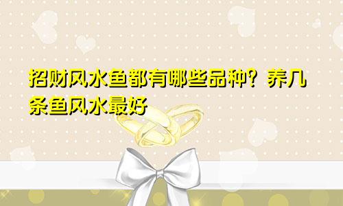 招财风水鱼都有哪些品种？养几条鱼风水最好