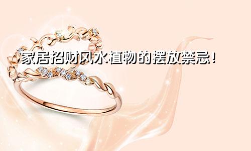 家居招财风水植物的摆放禁忌！