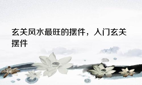 玄关风水最旺的摆件，入门玄关摆件