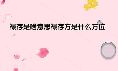 禄存是啥意思禄存方是什么方位