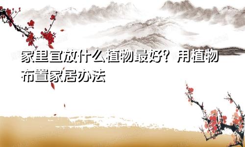 家里宜放什么植物最好？用植物布置家居办法