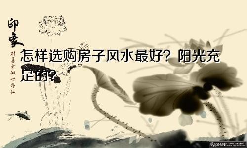 怎样选购房子风水最好？阳光充足的？