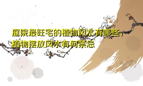庭院最旺宅的植物风水有哪些，植物摆放风水有何禁忌