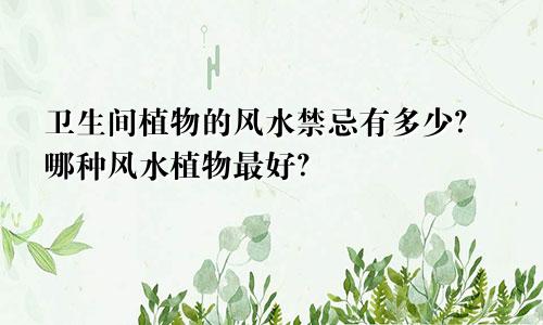 卫生间植物的风水禁忌有多少？哪种风水植物最好？