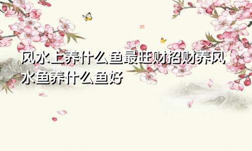 风水上养什么鱼最旺财招财养风水鱼养什么鱼好