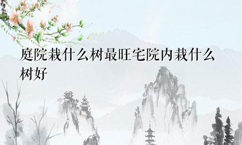 庭院栽什么树最旺宅院内栽什么树好