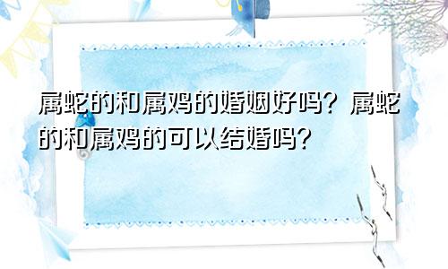 属蛇的和属鸡的婚姻好吗？属蛇的和属鸡的可以结婚吗？