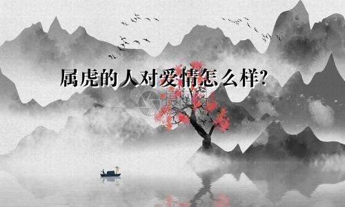 属虎的人对爱情怎么样？