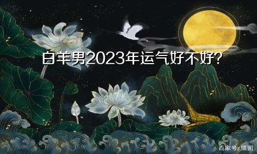 白羊男2023年运气好不好？