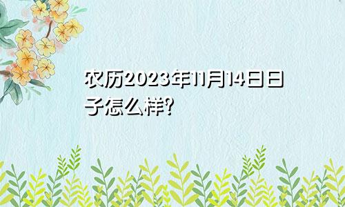 农历2023年11月14日日子怎么样？
